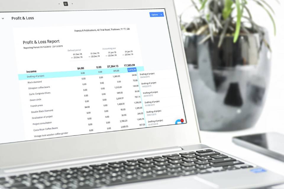 The drilldown option in the profit & loss statement in Debitoor invoicing software