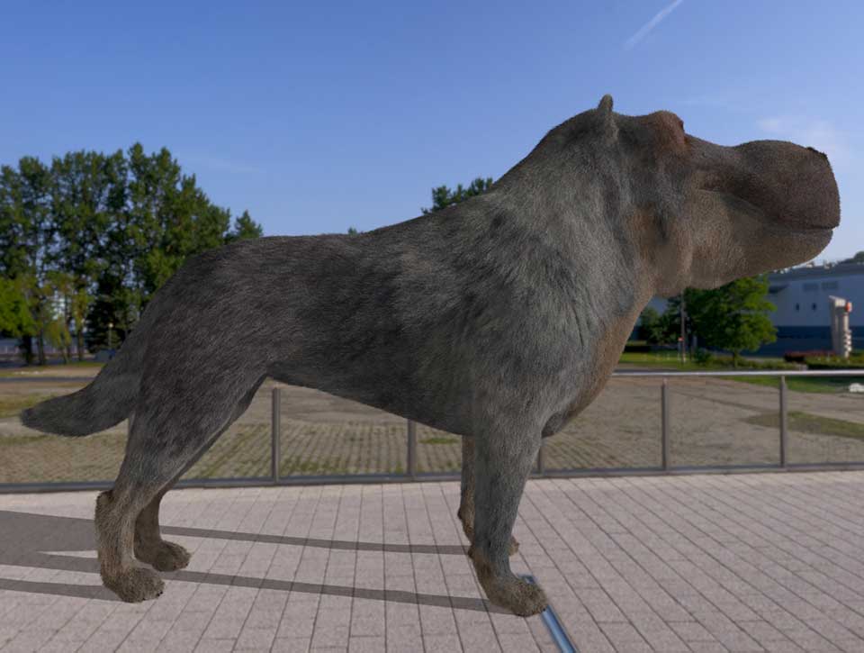 A virtual reality 'Heelerpotomus' by the team at illusiv Design